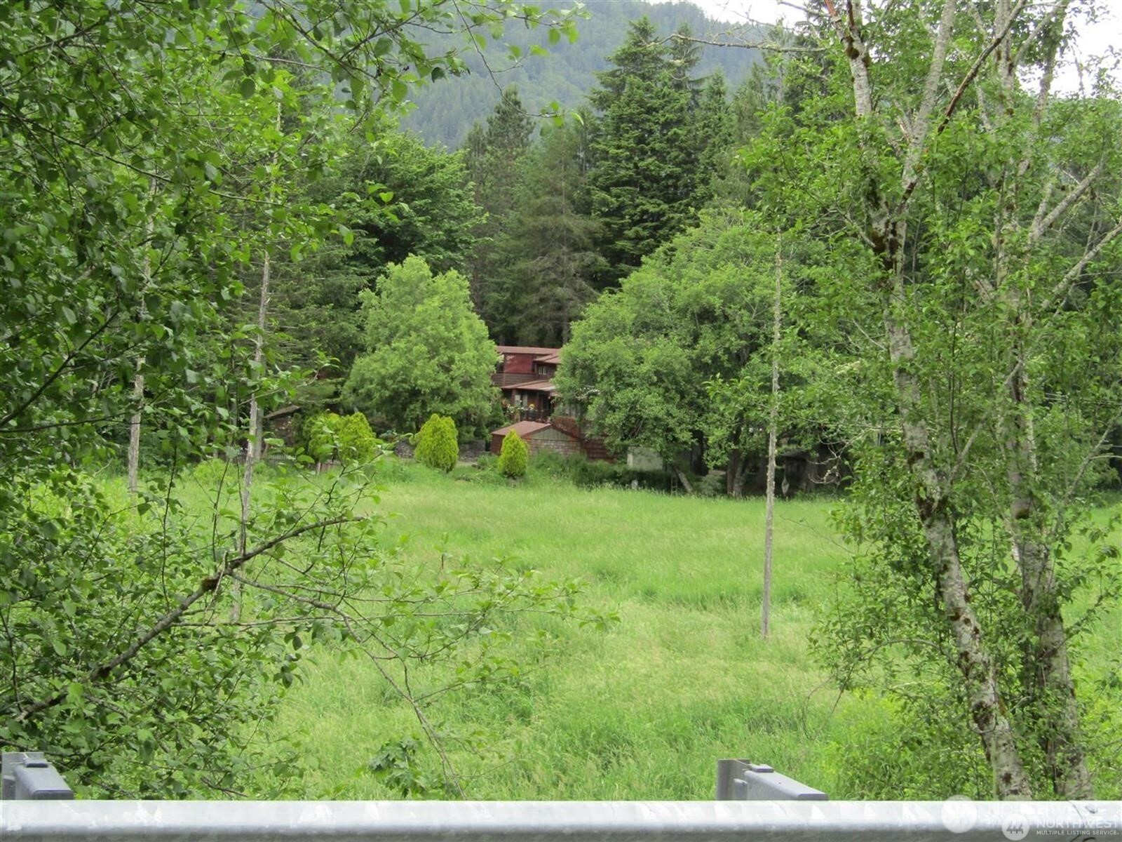 0 Davis Lake Road Morton, WA 98356 - Photo 11 of 29 a view of outdoor space and a yard