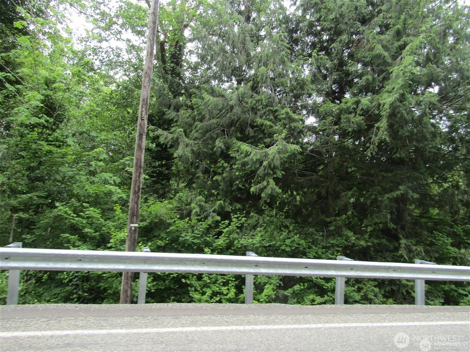 0 Davis Lake Road Morton, WA 98356 - Photo 13 of 29 a street view from a window