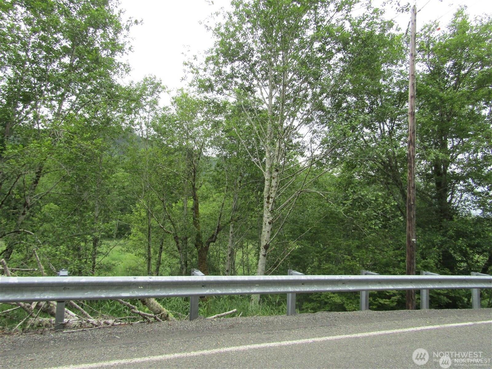 0 Davis Lake Road Morton, WA 98356 - Photo 14 of 29 a view of outdoor space with a street