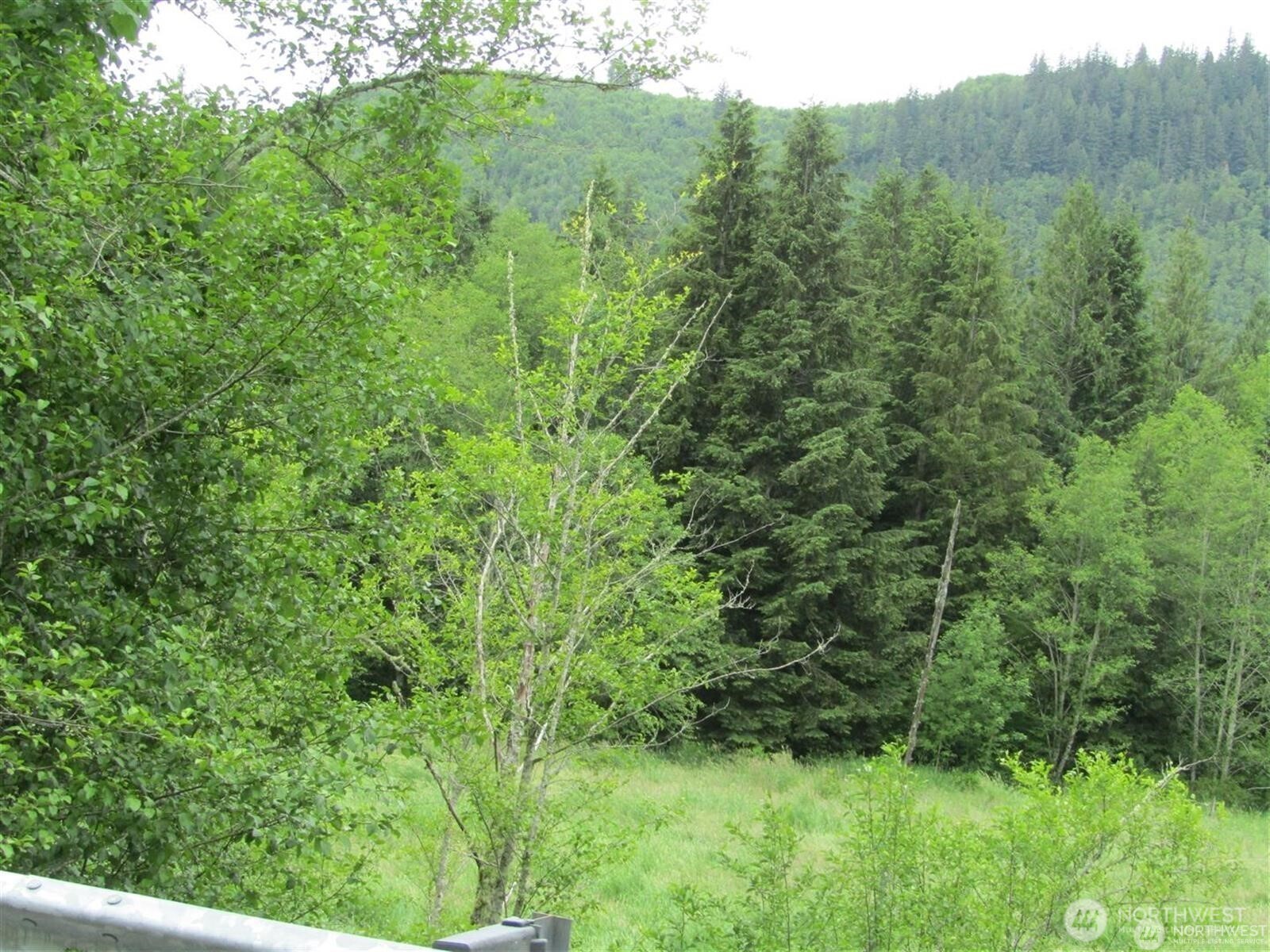 0 Davis Lake Road Morton, WA 98356 - Photo 10 of 29 a view of a lush green forest