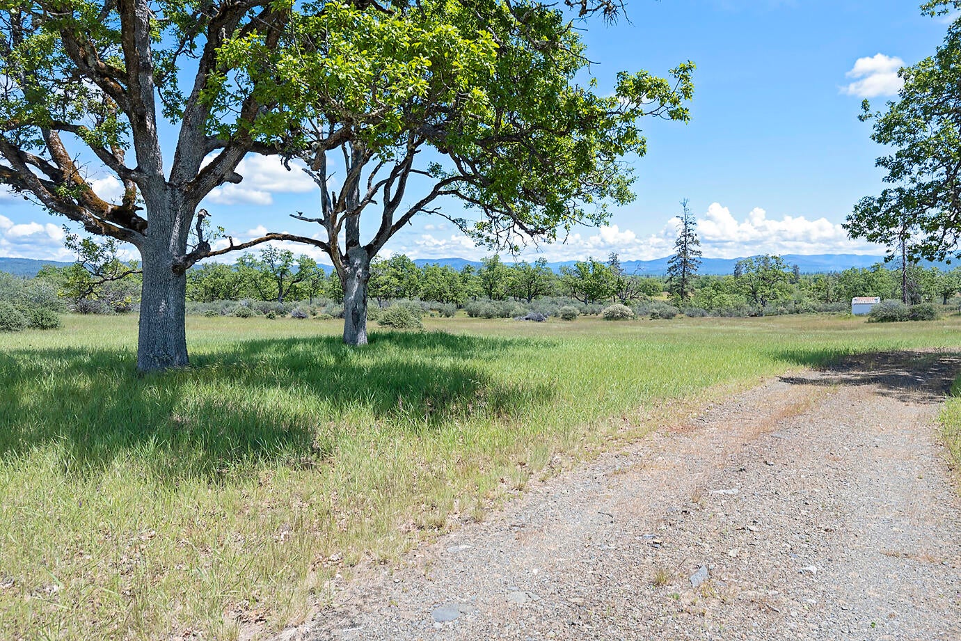 13084 Perry Road White City, OR 97503 - Photo 13 of 22 Perry Rd_018 copy