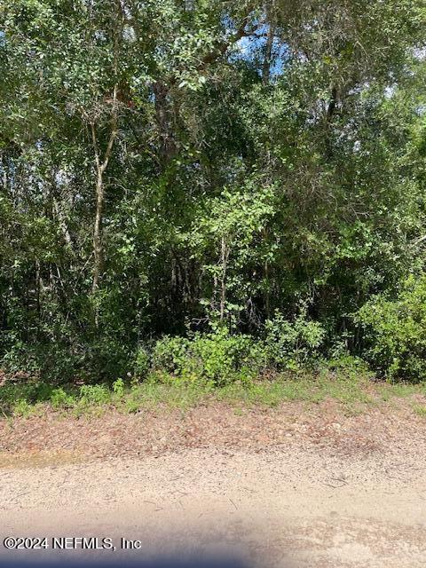 0 Gatorbone Road Keystone Heights, FL 32656 - Photo 3 of 3 Gatorbonelot36c