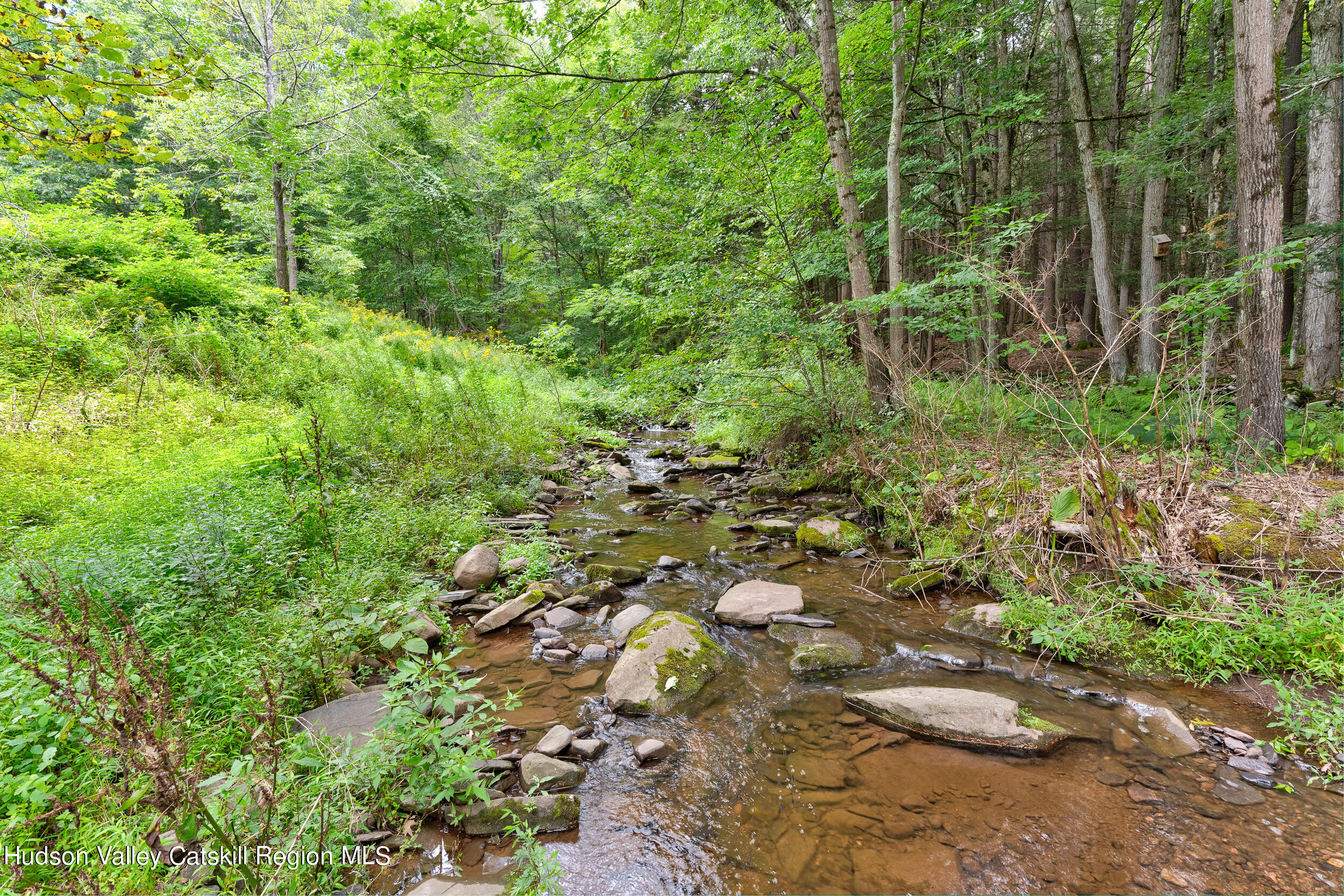 39 Deep Hollow Hill Road Narrowsburg, NY 12764 - Photo 42 of 45 deep_hollow_72