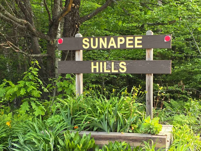 $290,000 | 91 Chalk Pond Road, Newbury, NH 03255