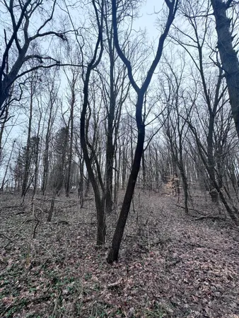 $131,000 | 95085 70th Street, Benton Harbor, MI 49022