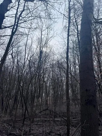 $131,000 | 95085 70th Street, Benton Harbor, MI 49022