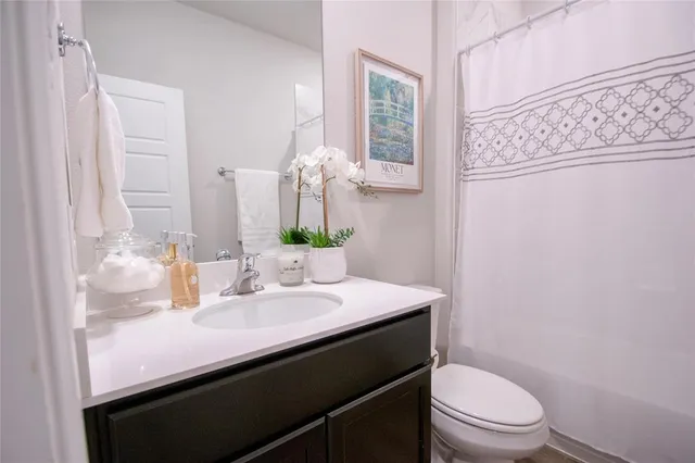 a bathroom with a sink a toilet and shower curtain