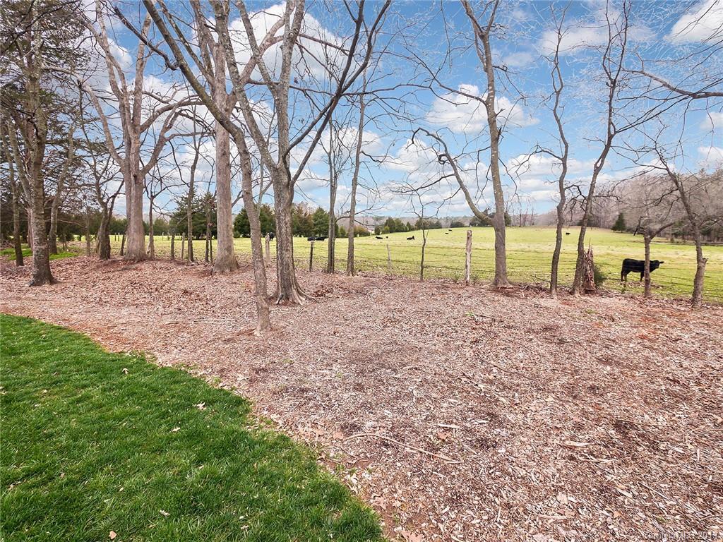 3012 Thorndale Road Indian Trail, NC 28079 - Photo 30 of 30 Gallery Image 30