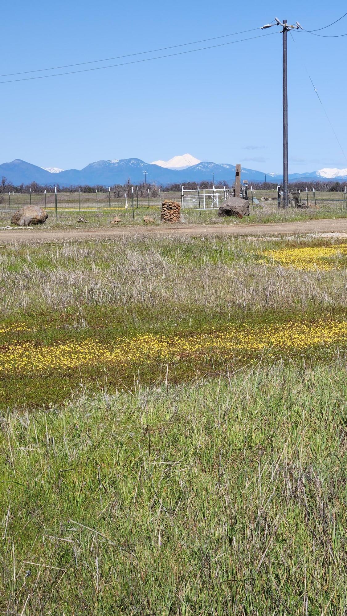 Antler Road Millville, CA 96062 - Photo 12 of 18 a view of an ocean from a yard