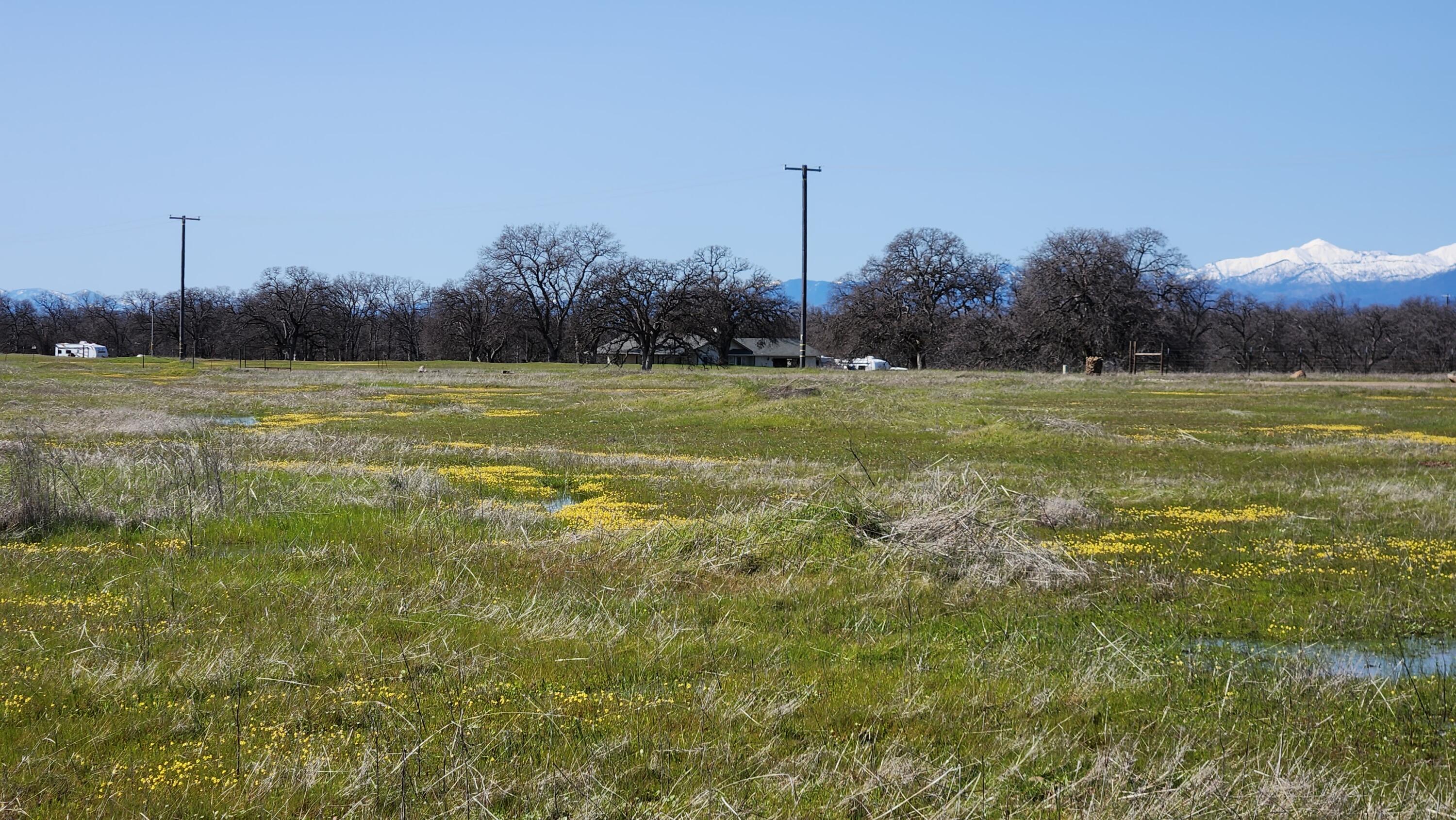 Antler Road Millville, CA 96062 - Photo 15 of 18