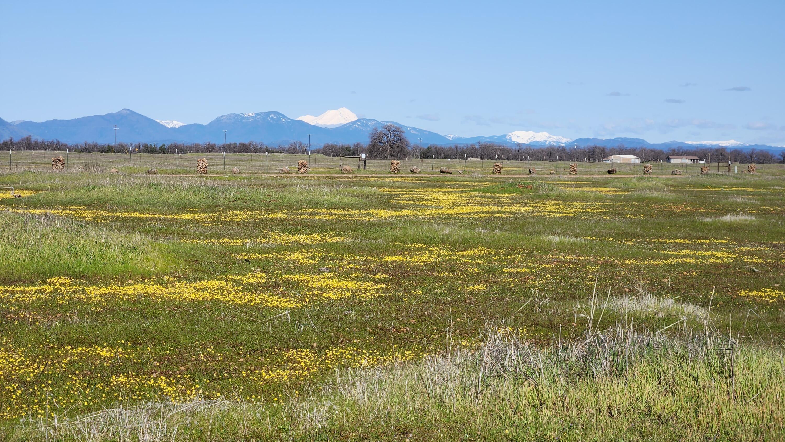 Antler Road Millville, CA 96062 - Photo 3 of 18 a view of an ocean and a mountain