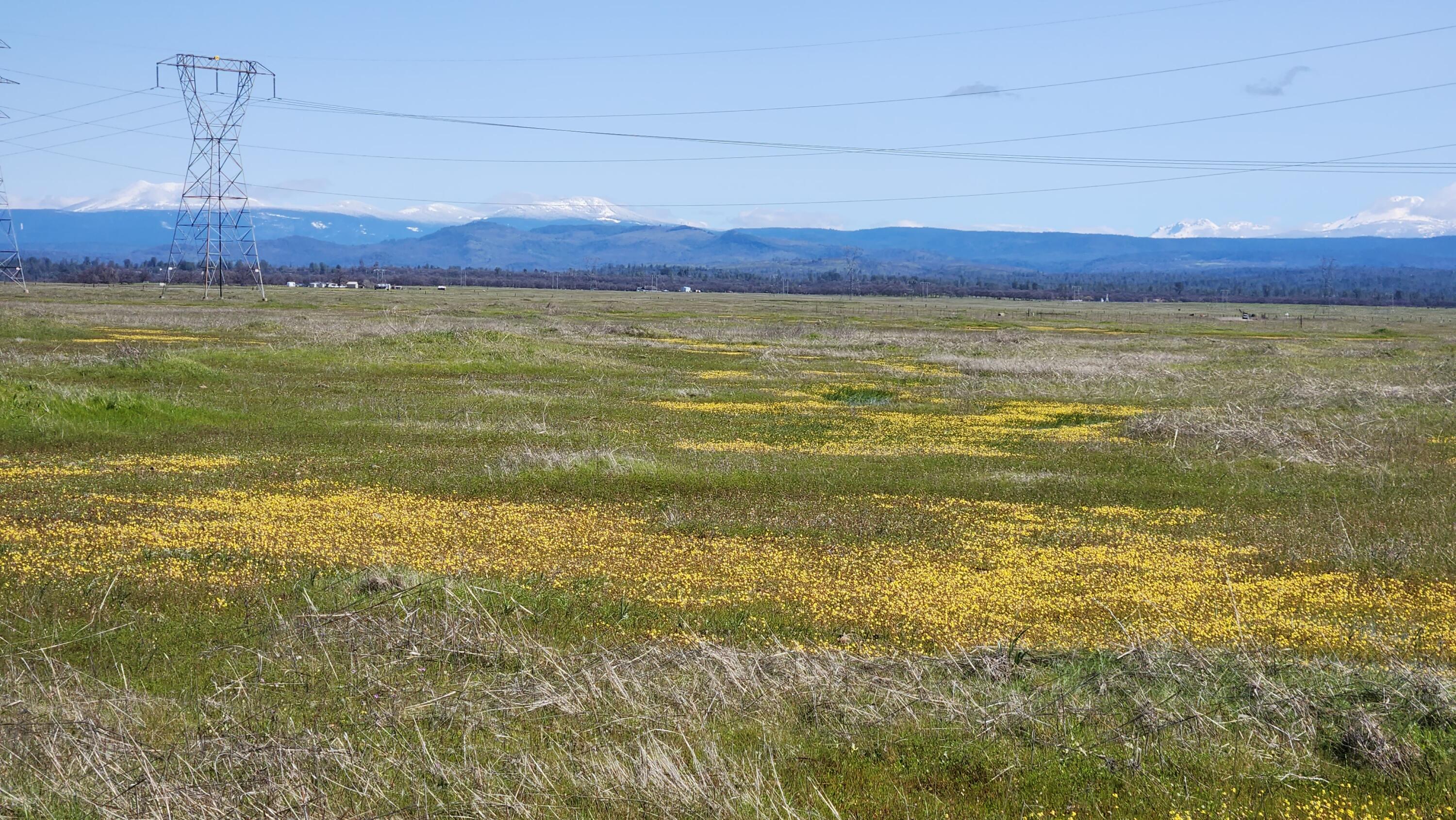 Antler Road Millville, CA 96062 - Photo 5 of 18 a view of an ocean and a mountain