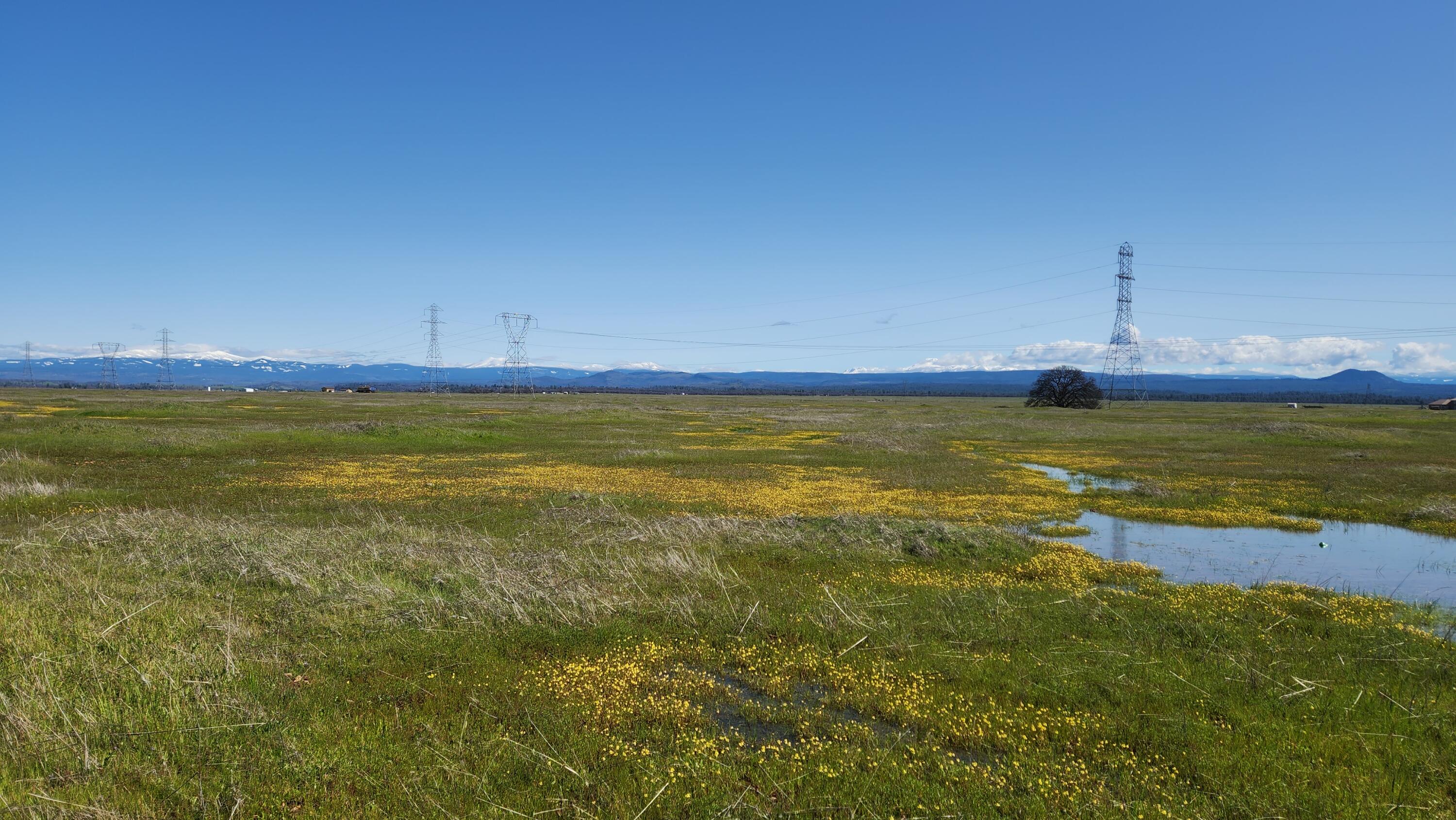 Antler Road Millville, CA 96062 - Photo 10 of 18 a view of a ocean view