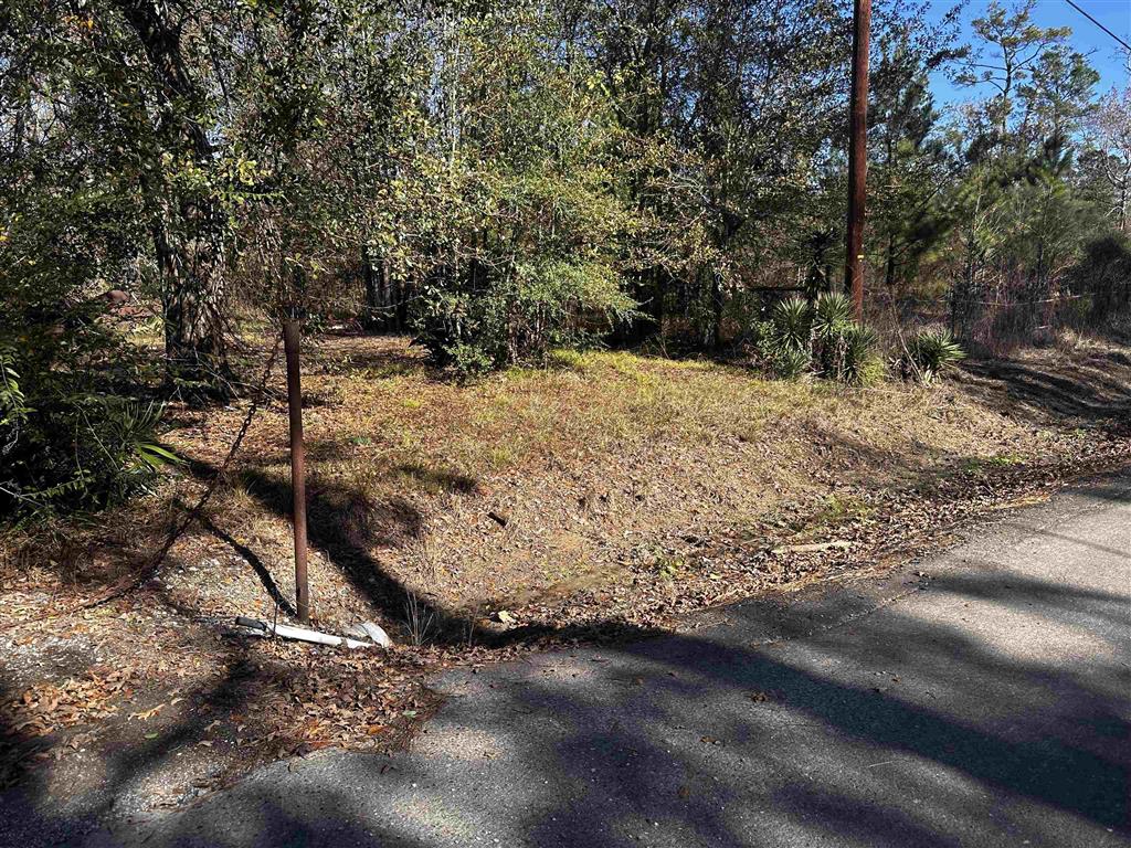 112 Angus Drive Ragley, LA 70657 - Photo 4 of 11