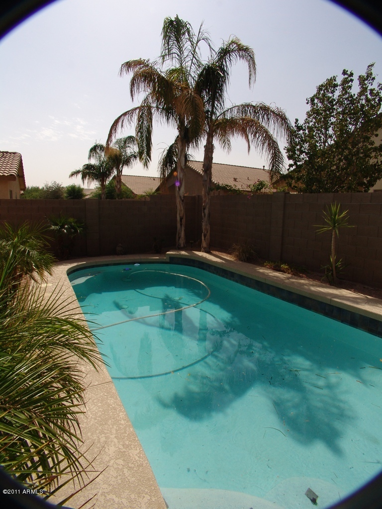 2217 West Tanner Ranch Road Queen Creek, AZ 85144 - Photo 1 of 24 Sparkling Pool!