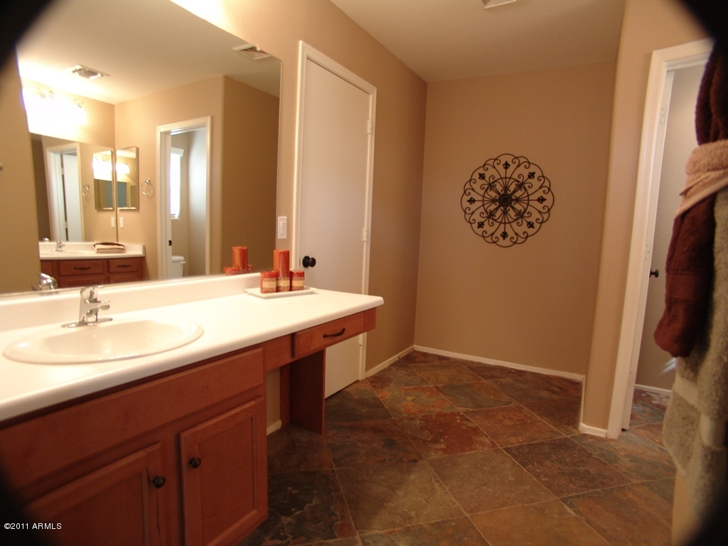 2217 West Tanner Ranch Road Queen Creek, AZ 85144 - Photo 14 of 24 Master Bath