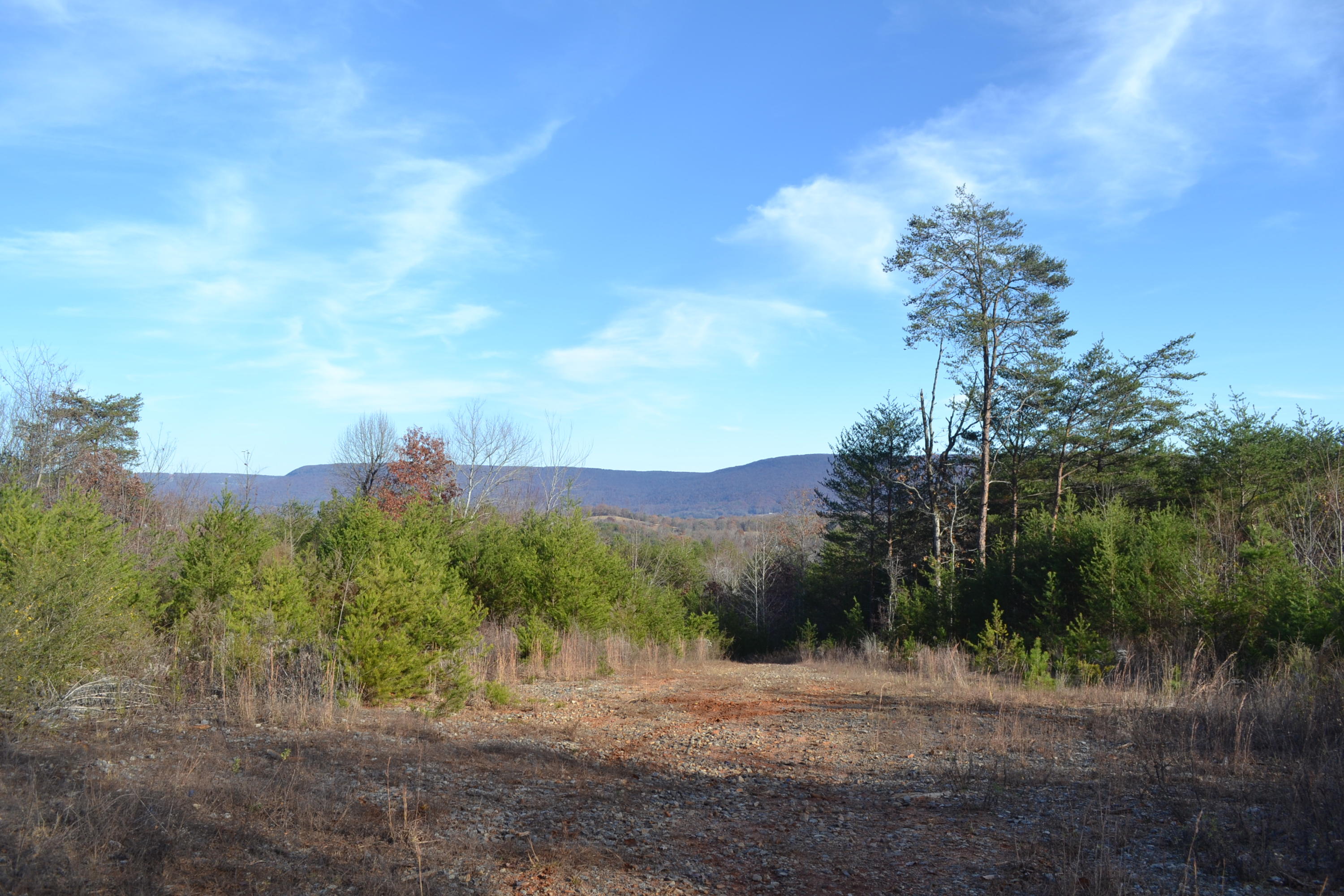 186-ac Bob Mosley Road Whitwell, TN 37397 - Photo 1 of 19 40