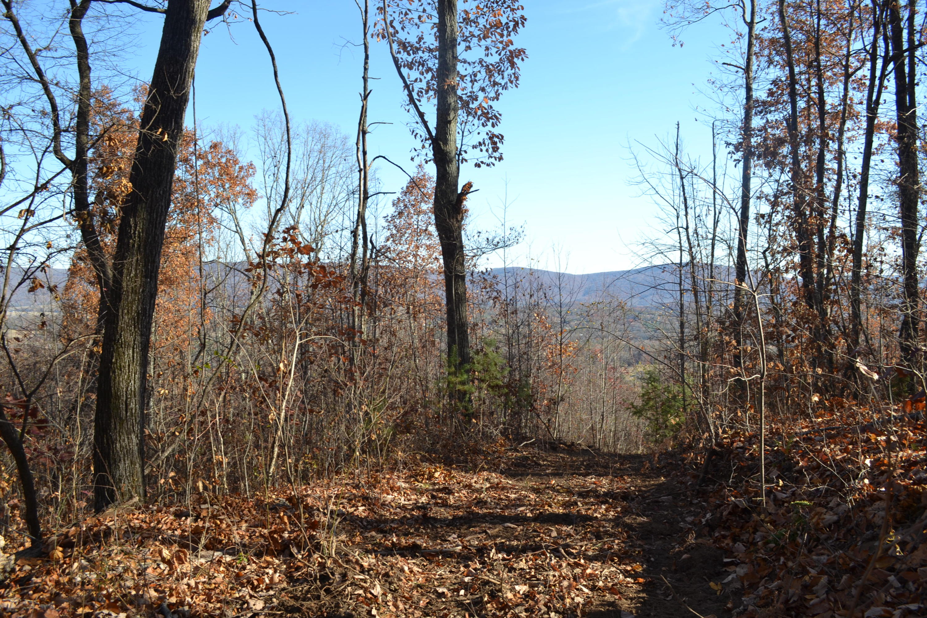 186-ac Bob Mosley Road Whitwell, TN 37397 - Photo 12 of 19 25