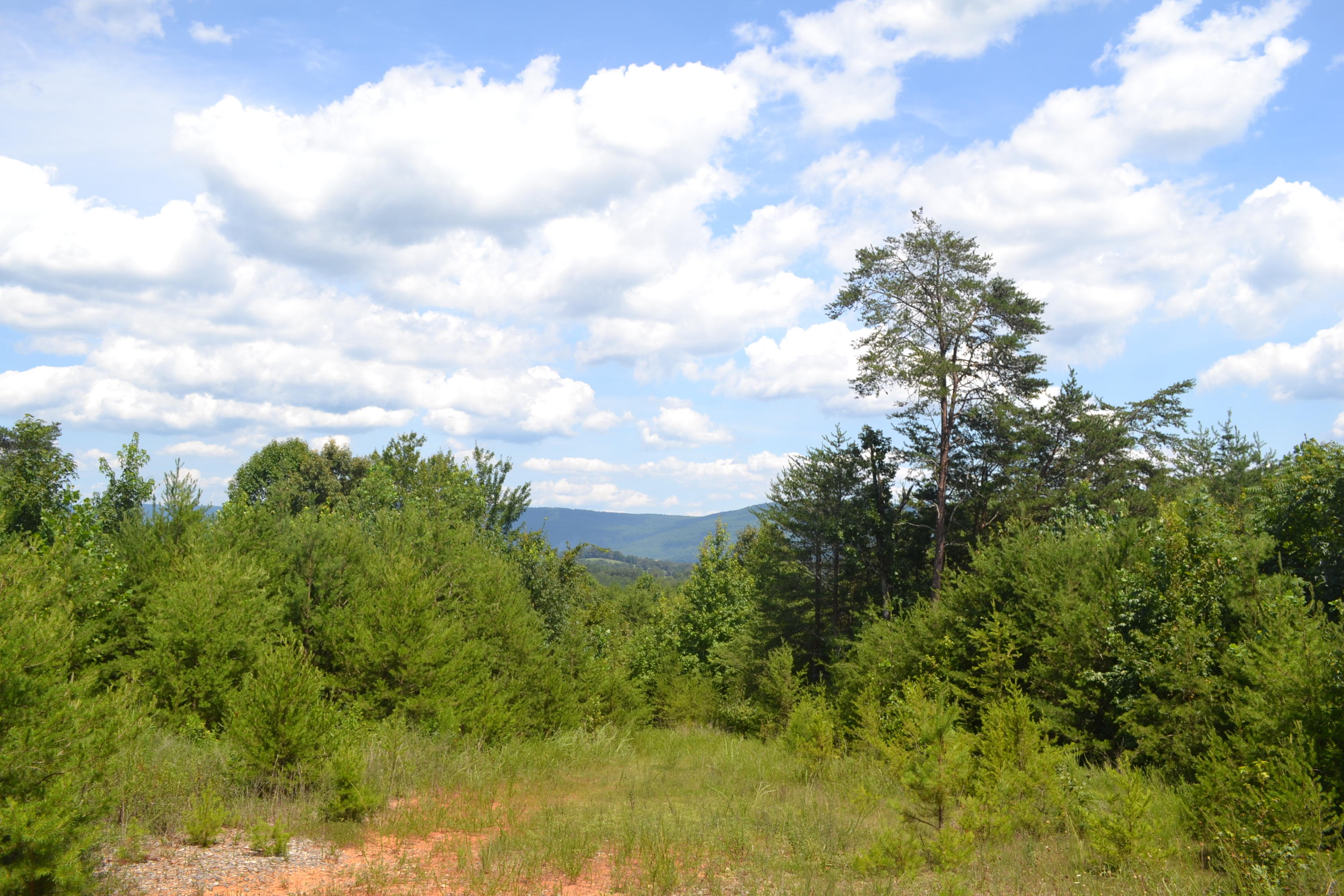 186-ac Bob Mosley Road Whitwell, TN 37397 - Photo 7 of 19 70