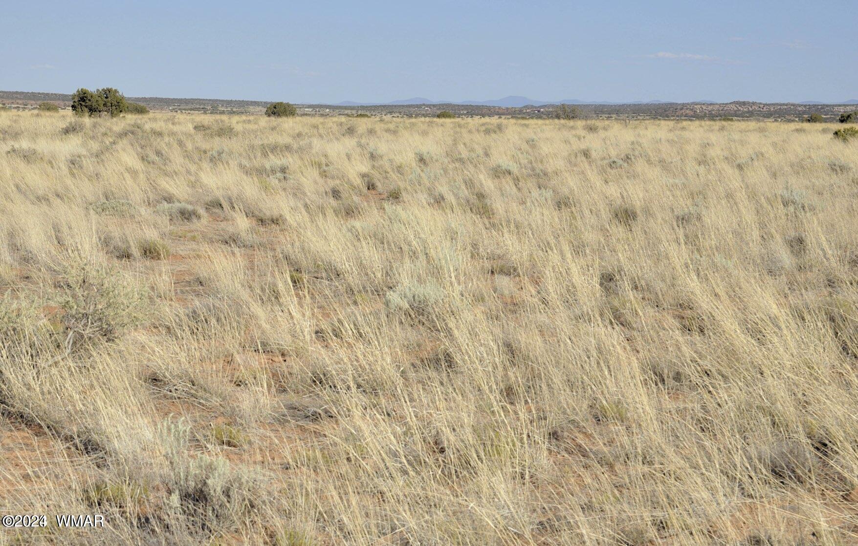 4 Percheron Lane Snowflake, AZ 85937 - Photo 1 of 15 View