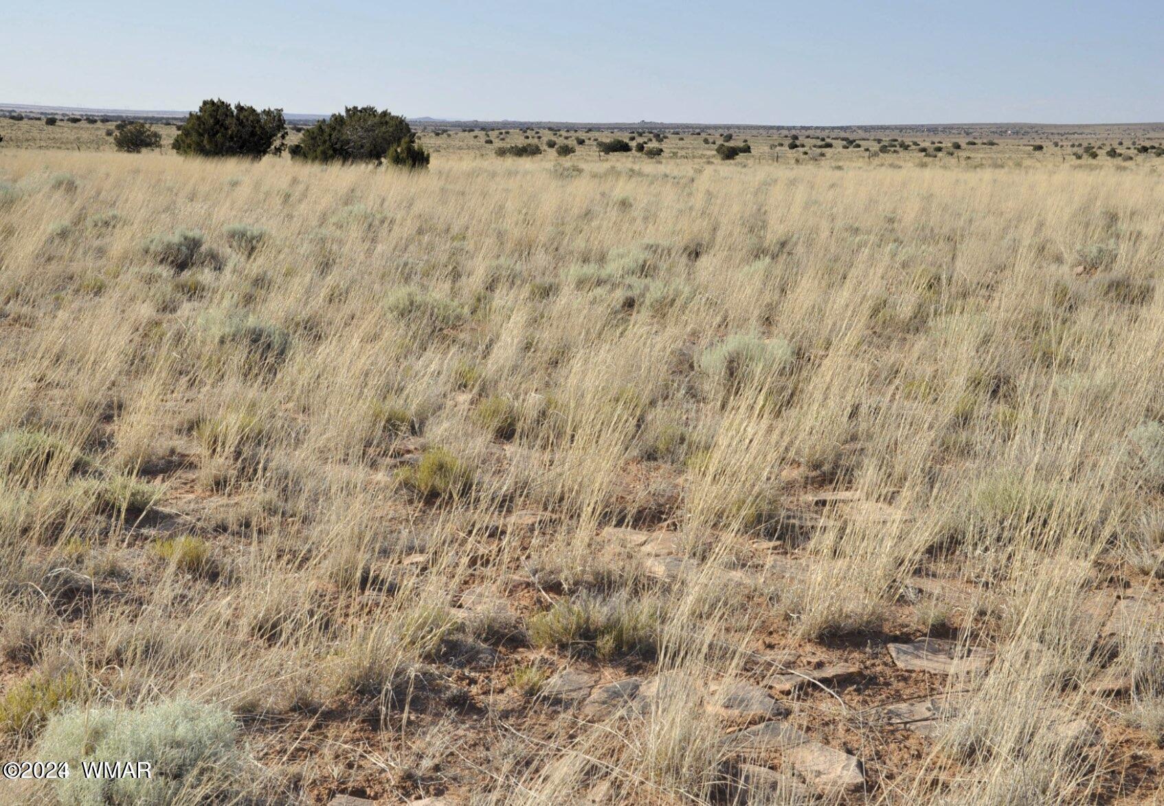 4 Percheron Lane Snowflake, AZ 85937 - Photo 13 of 15 View 3