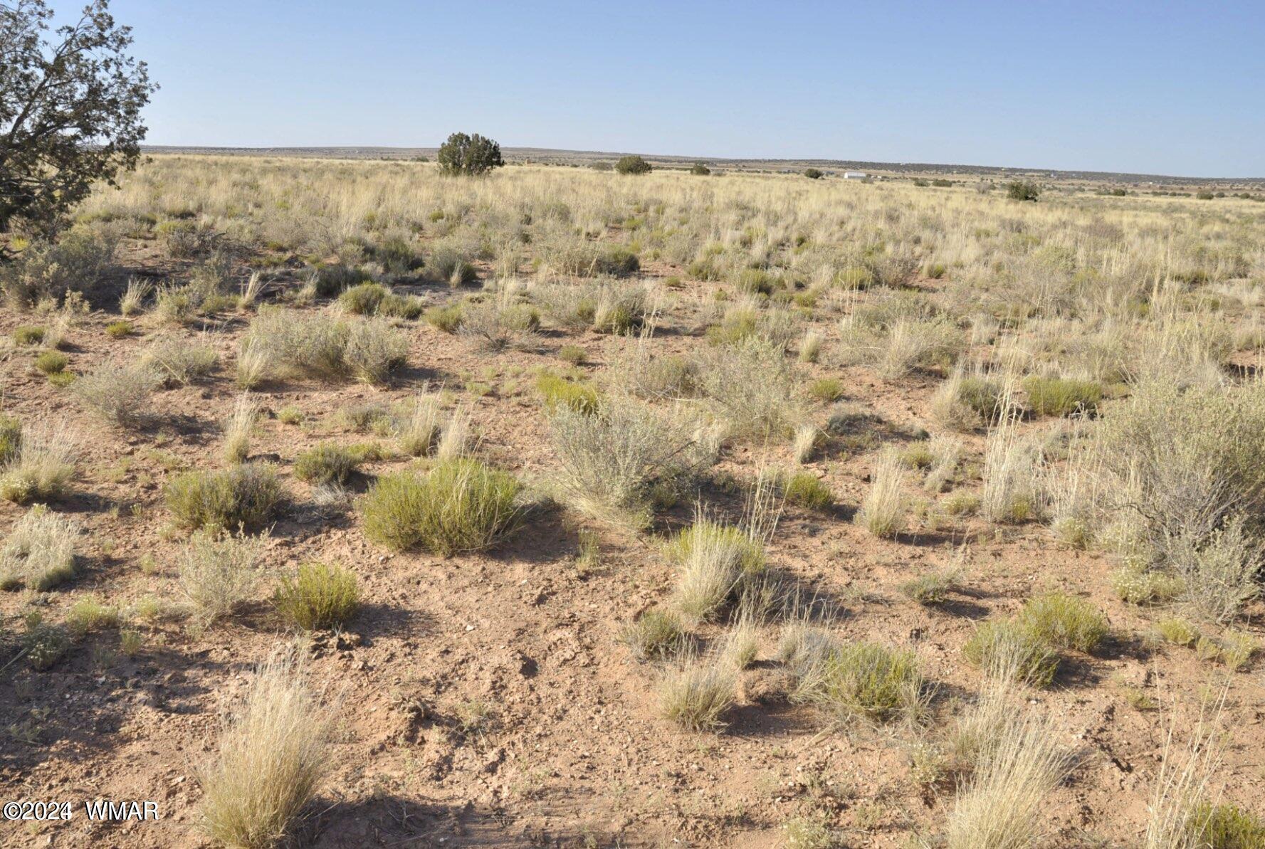 4 Percheron Lane Snowflake, AZ 85937 - Photo 14 of 15 View