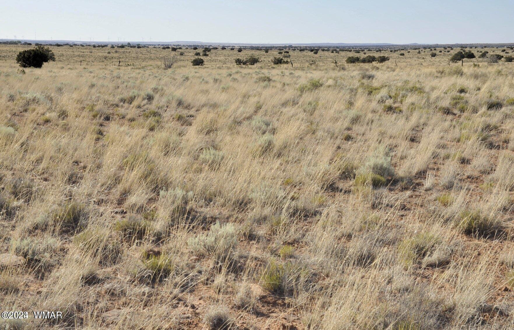4 Percheron Lane Snowflake, AZ 85937 - Photo 15 of 15 View2