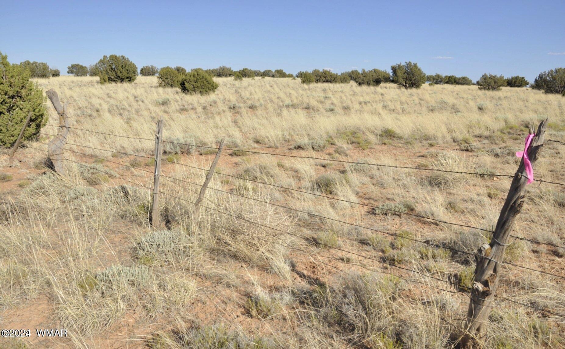4 Percheron Lane Snowflake, AZ 85937 - Photo 4 of 15 Fence