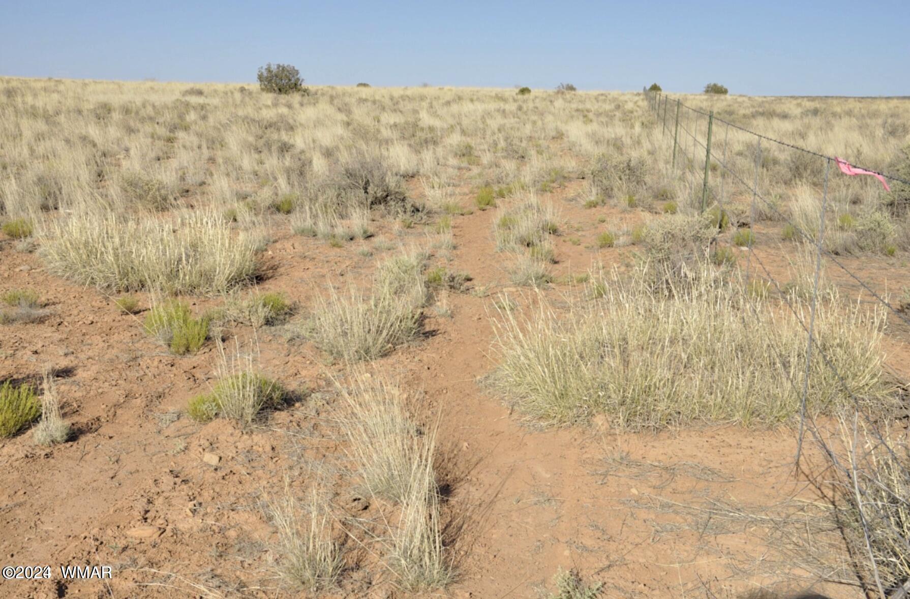 4 Percheron Lane Snowflake, AZ 85937 - Photo 5 of 15 Fenceline