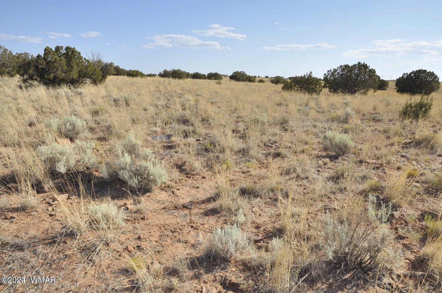 4 Percheron Lane Snowflake, AZ 85937 - Photo 6 of 15 Land