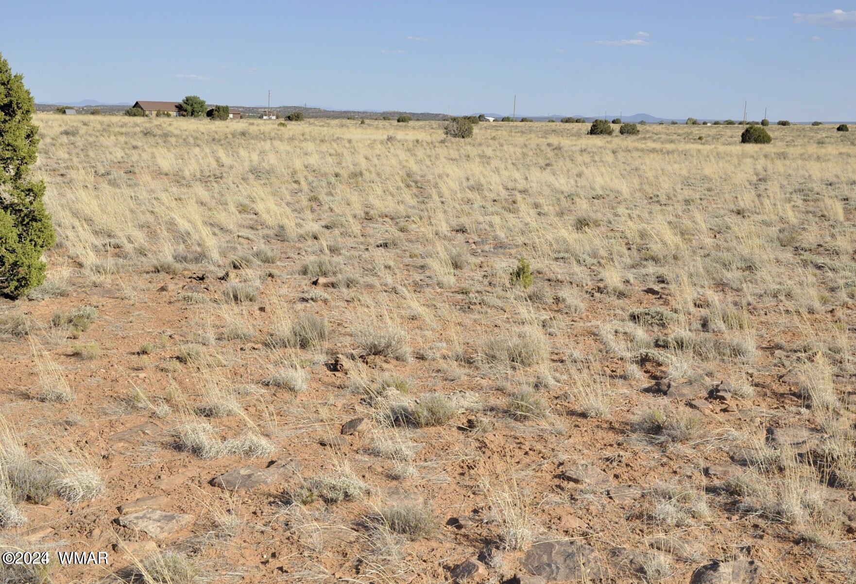4 Percheron Lane Snowflake, AZ 85937 - Photo 9 of 15 Soil 2