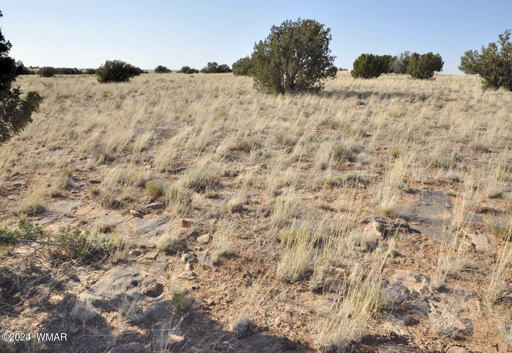 4 Percheron Lane Snowflake, AZ 85937 - Photo 10 of 15 Soil