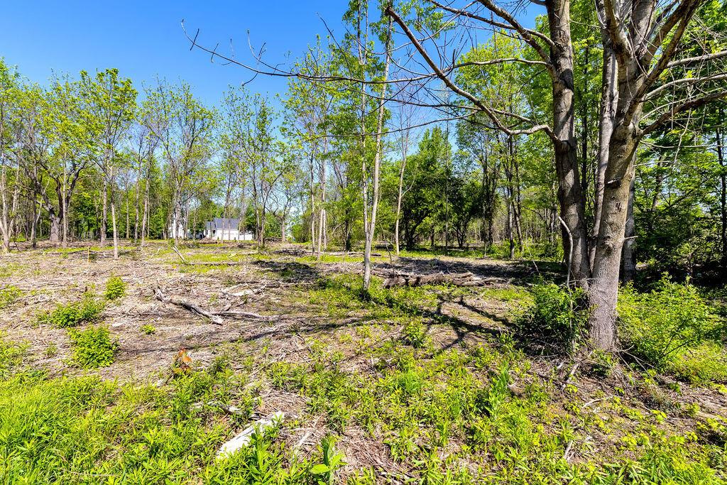 Fancher Rd