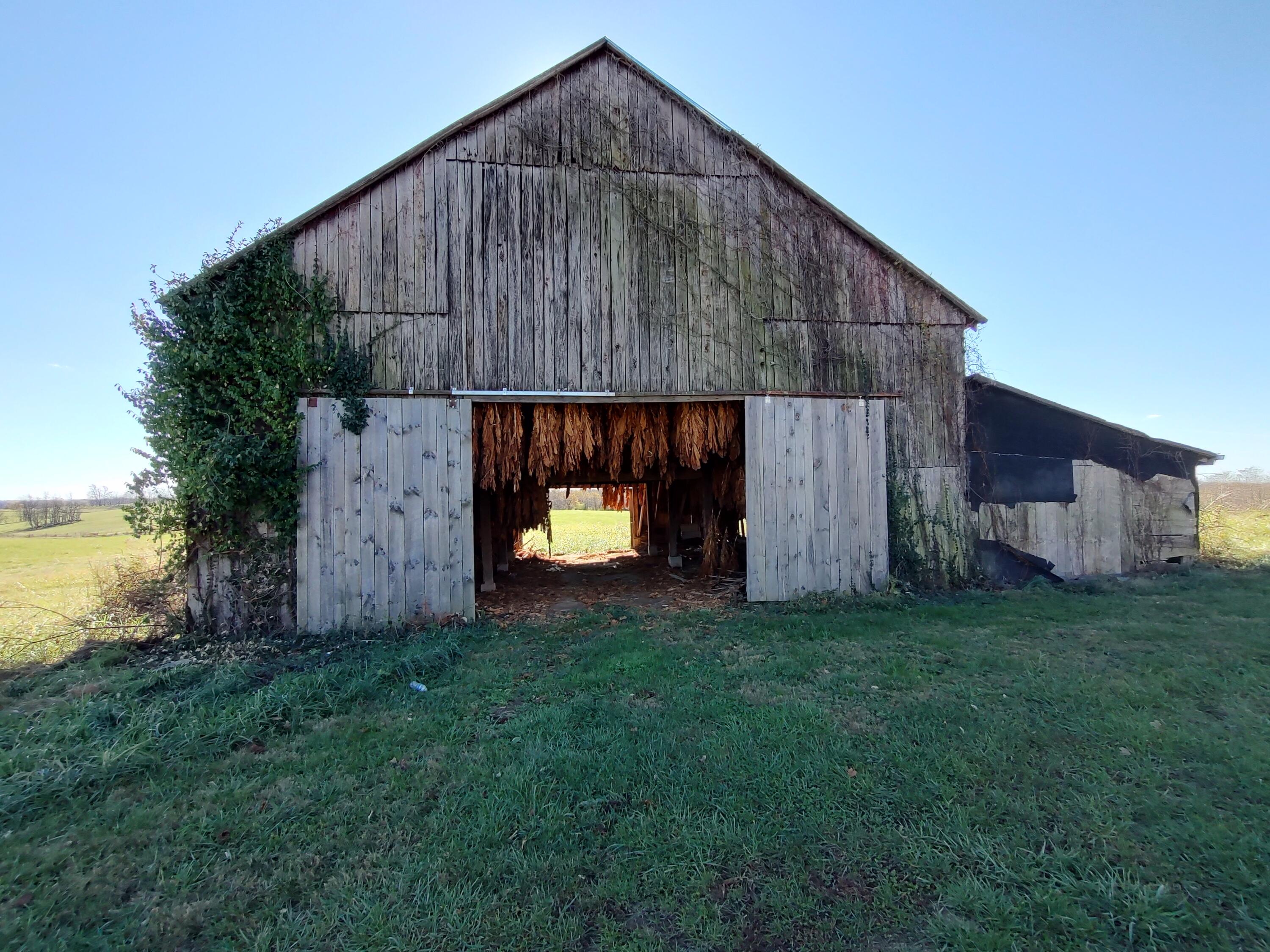 2199 Whetstone Road Carlisle, KY 40311 - Photo 9 of 57 IMG_20241112_120459293_HDR