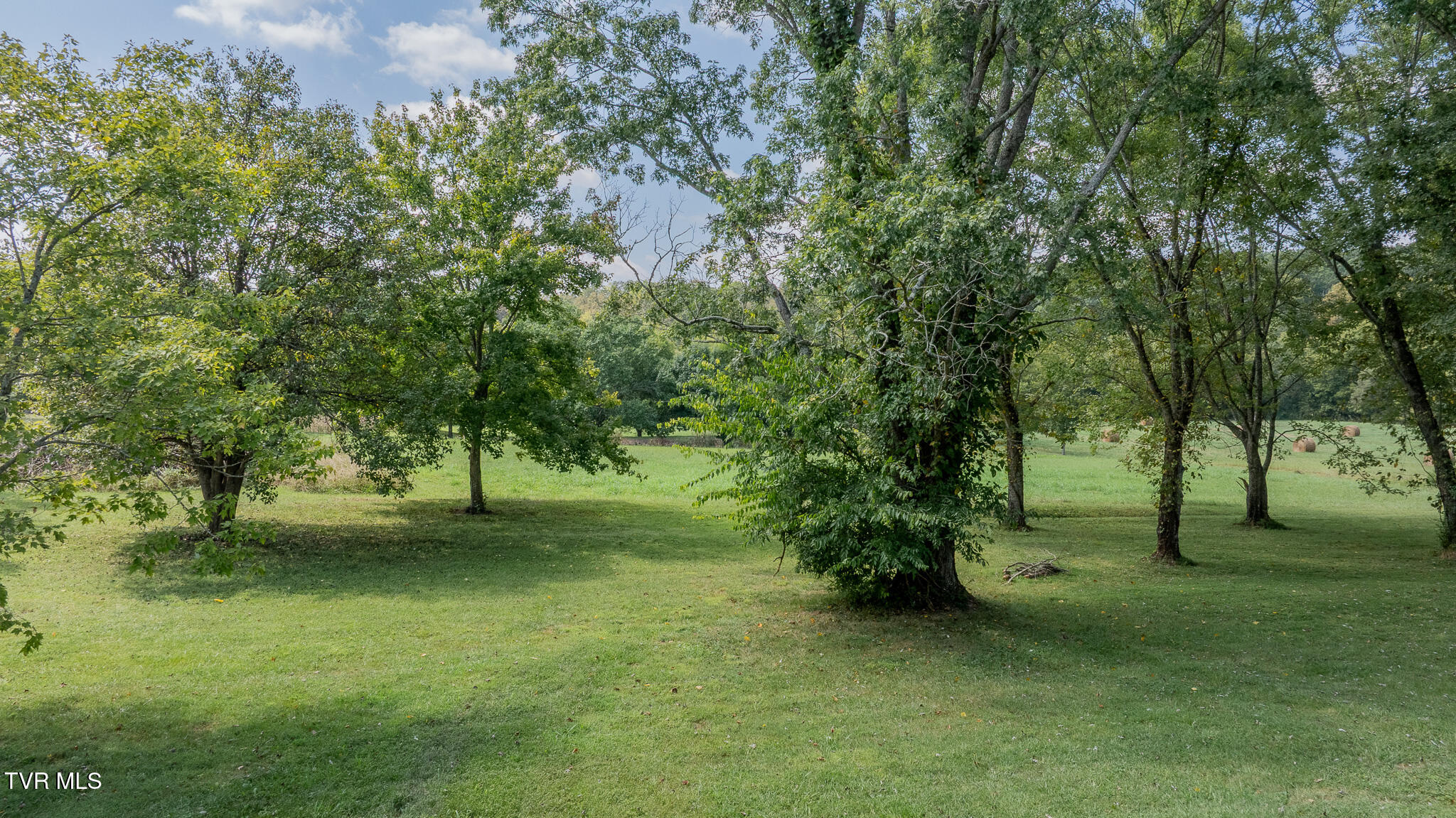 1325 Mink Creek Road Midway, TN 37809 - Photo 38 of 54 dji_fly_20260916_131418_0943_17895795087