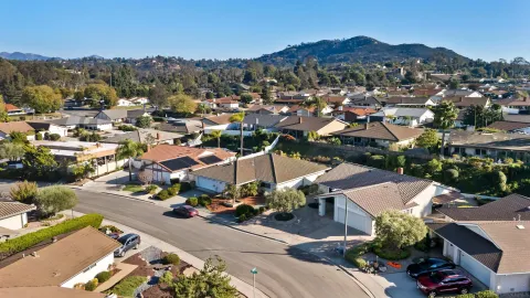 an aerial view of a house with a yard and a large tree