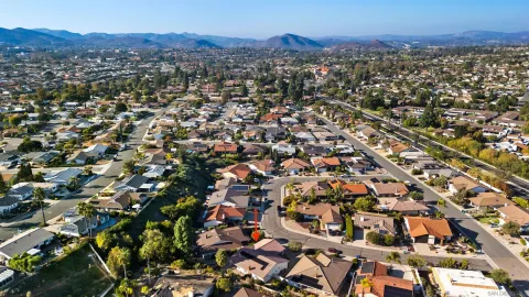 a house that has a tree in front of it