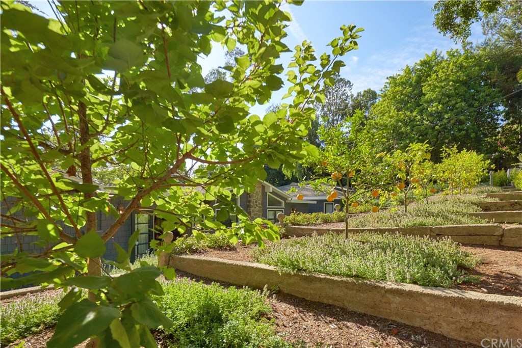 495 Arroyo Chico Laguna Beach, CA 92651 - Photo 26 of 28 a view of a garden with plants