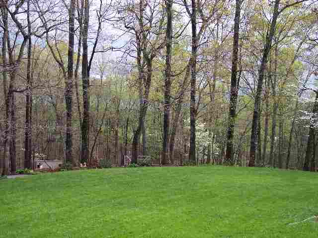 109 Warner Mill Road Walhalla, SC 29691 - Photo 8 of 9 Gallery Image 8