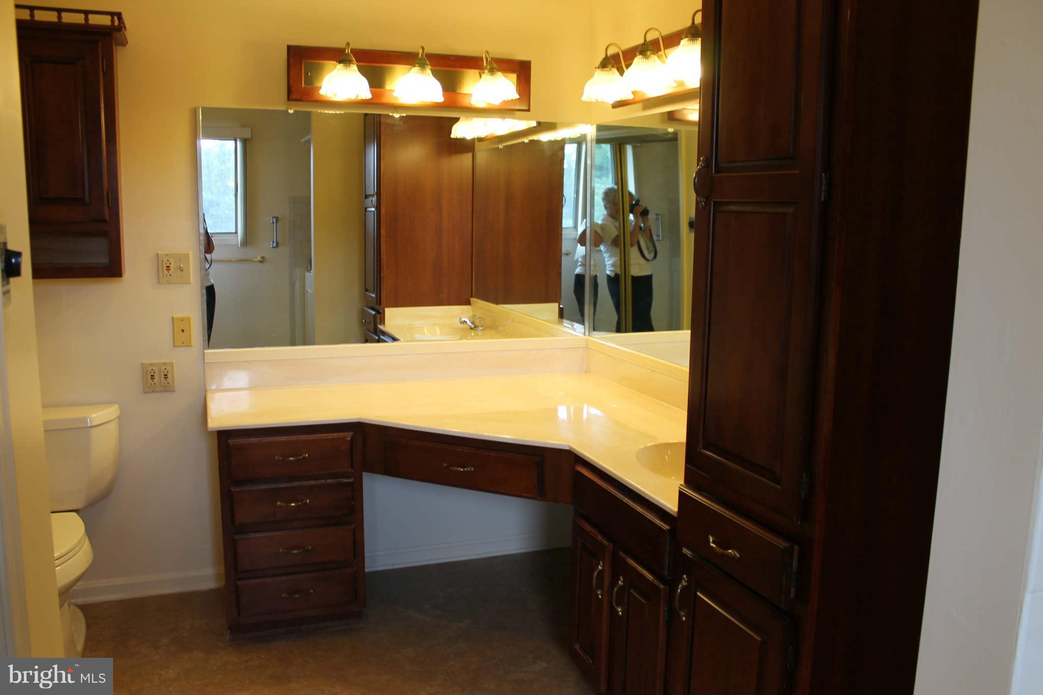 490 Lone Oak Road Ranson, WV 25438 - Photo 20 of 30 Bath (Master)