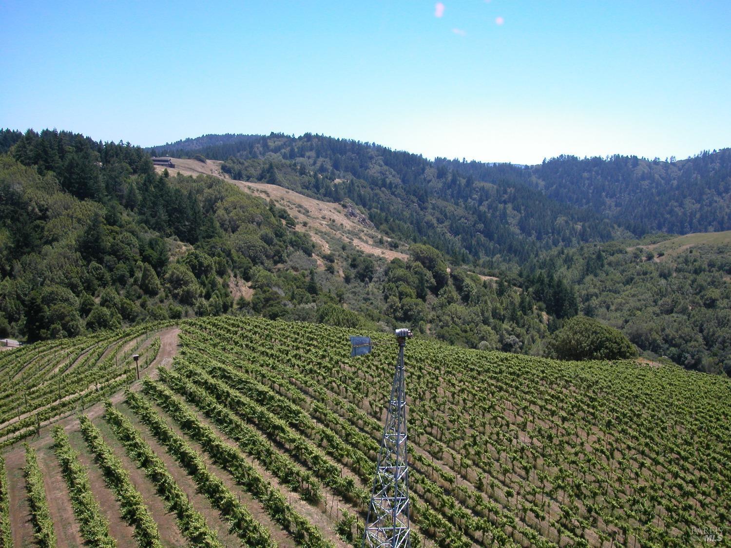 200 Rd To Ranch Nicasio, CA 94946 - Photo 33 of 37 Gallery Image 33