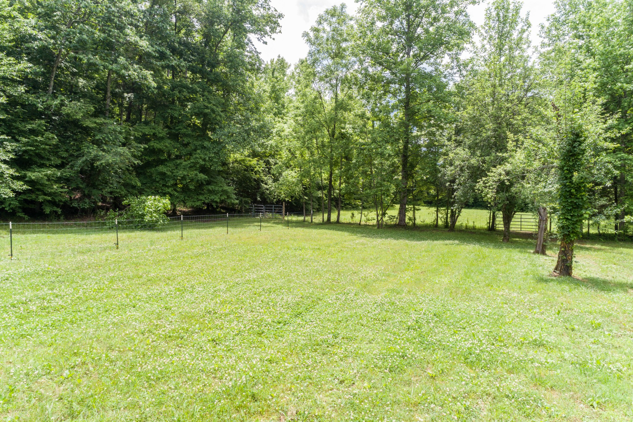 1829 Deer Creek Road Linden, TN 37096 - Photo 22 of 50 Gallery Image 22