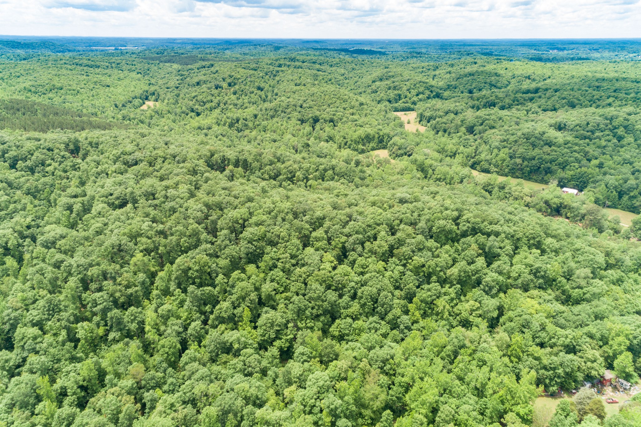 1829 Deer Creek Road Linden, TN 37096 - Photo 28 of 50 Gallery Image 28