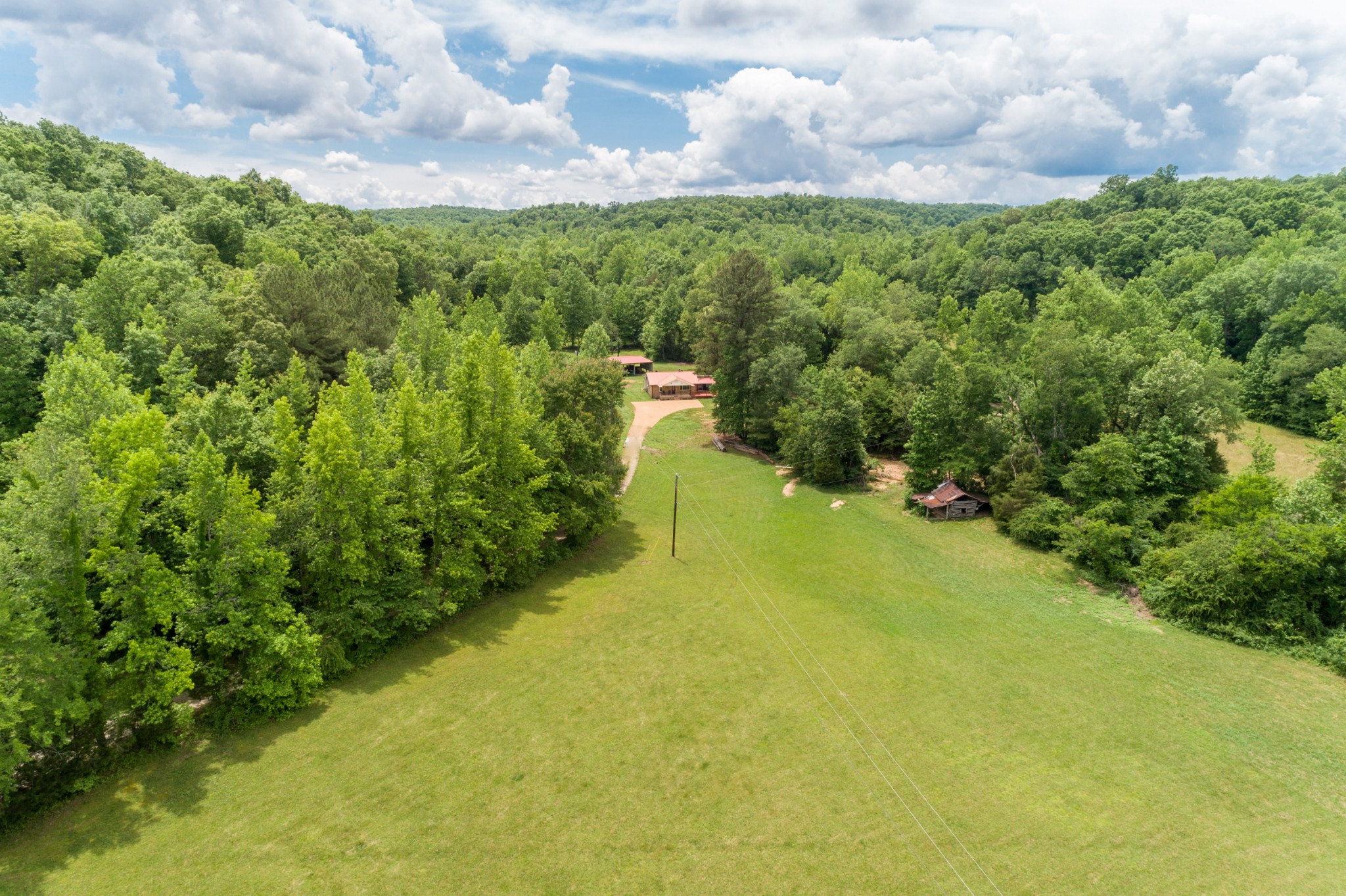 1829 Deer Creek Road Linden, TN 37096 - Photo 4 of 50 Gallery Image 4