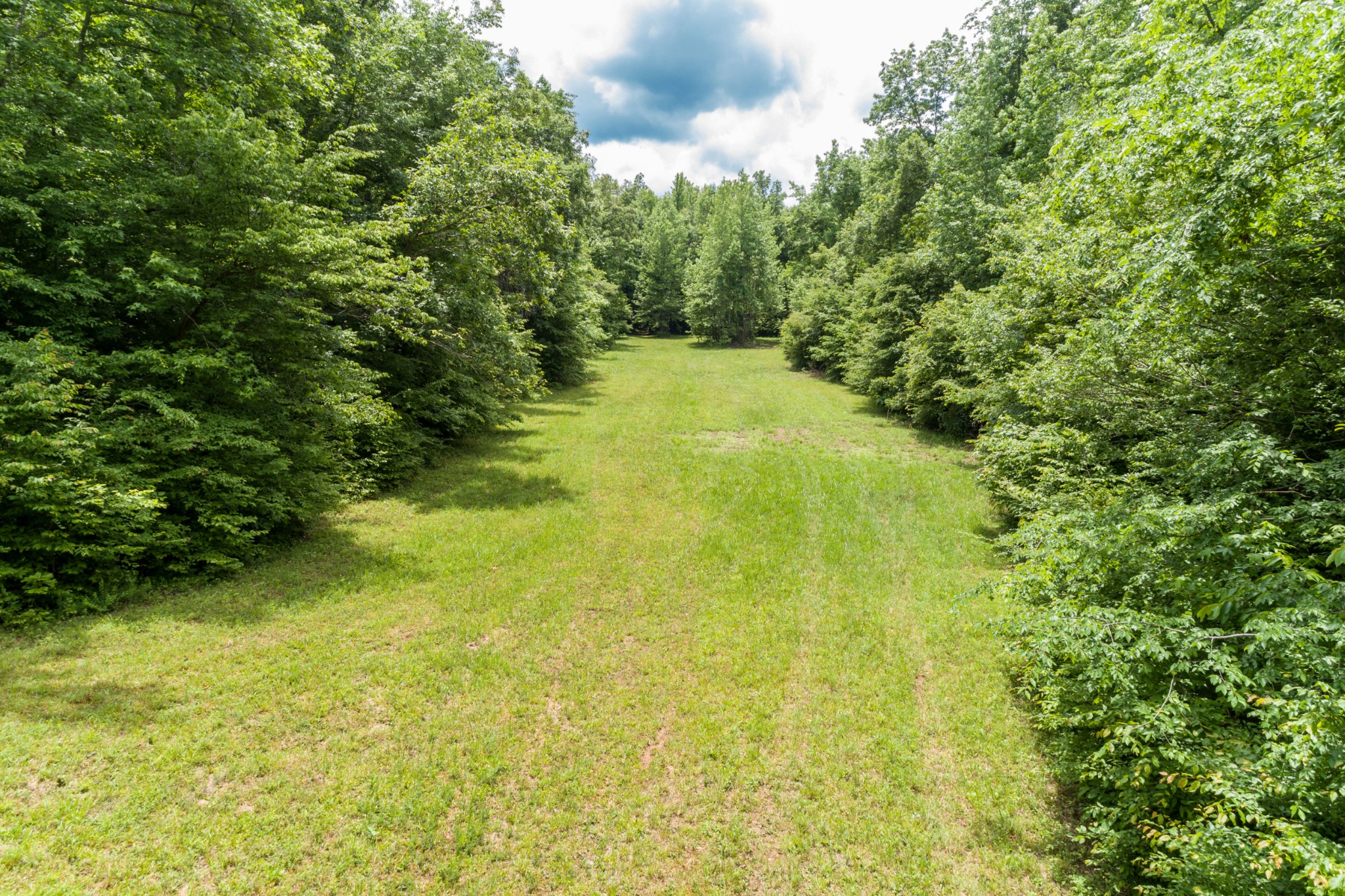1829 Deer Creek Road Linden, TN 37096 - Photo 32 of 50 Gallery Image 32