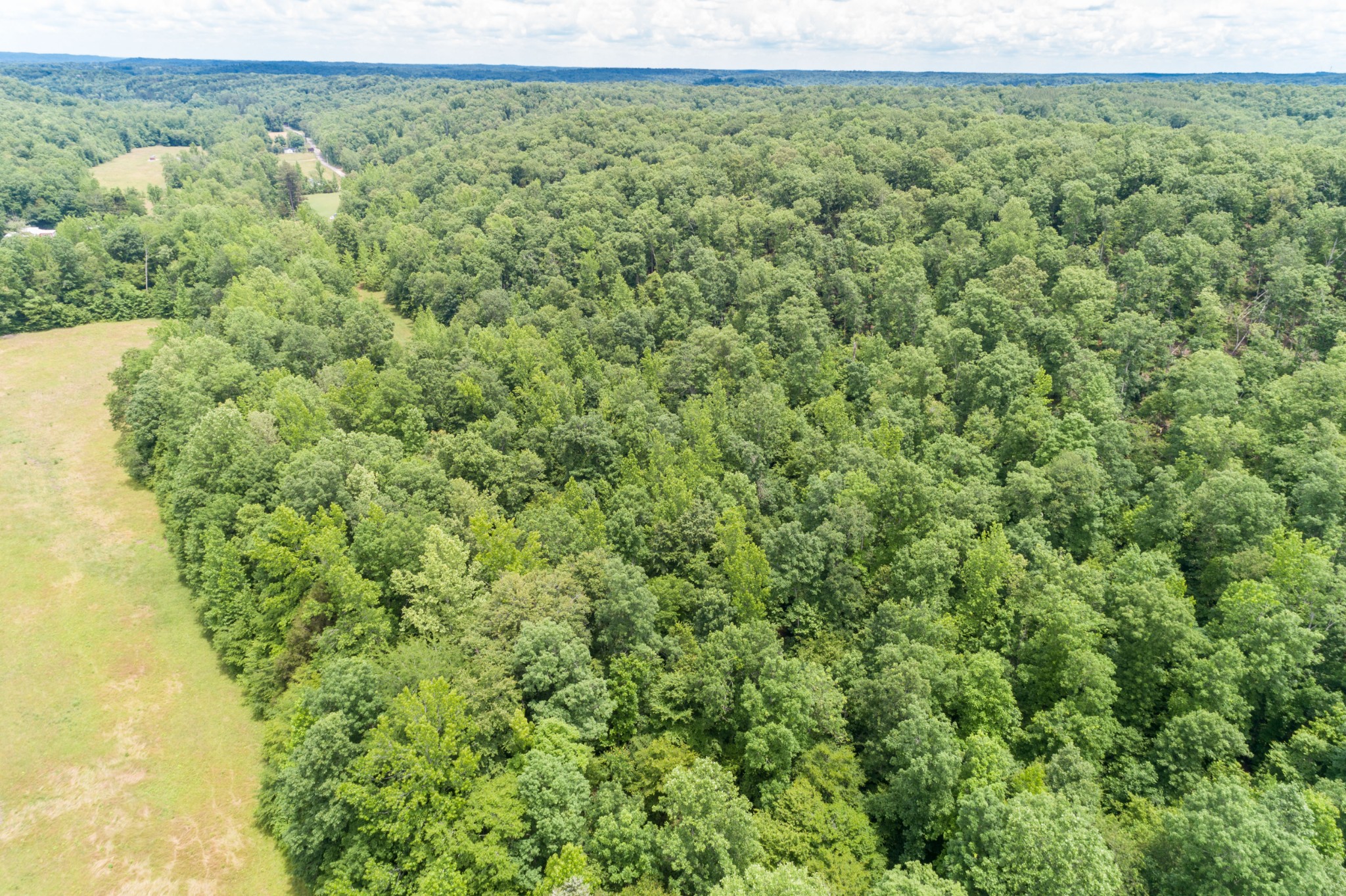 1829 Deer Creek Road Linden, TN 37096 - Photo 35 of 50 Gallery Image 35