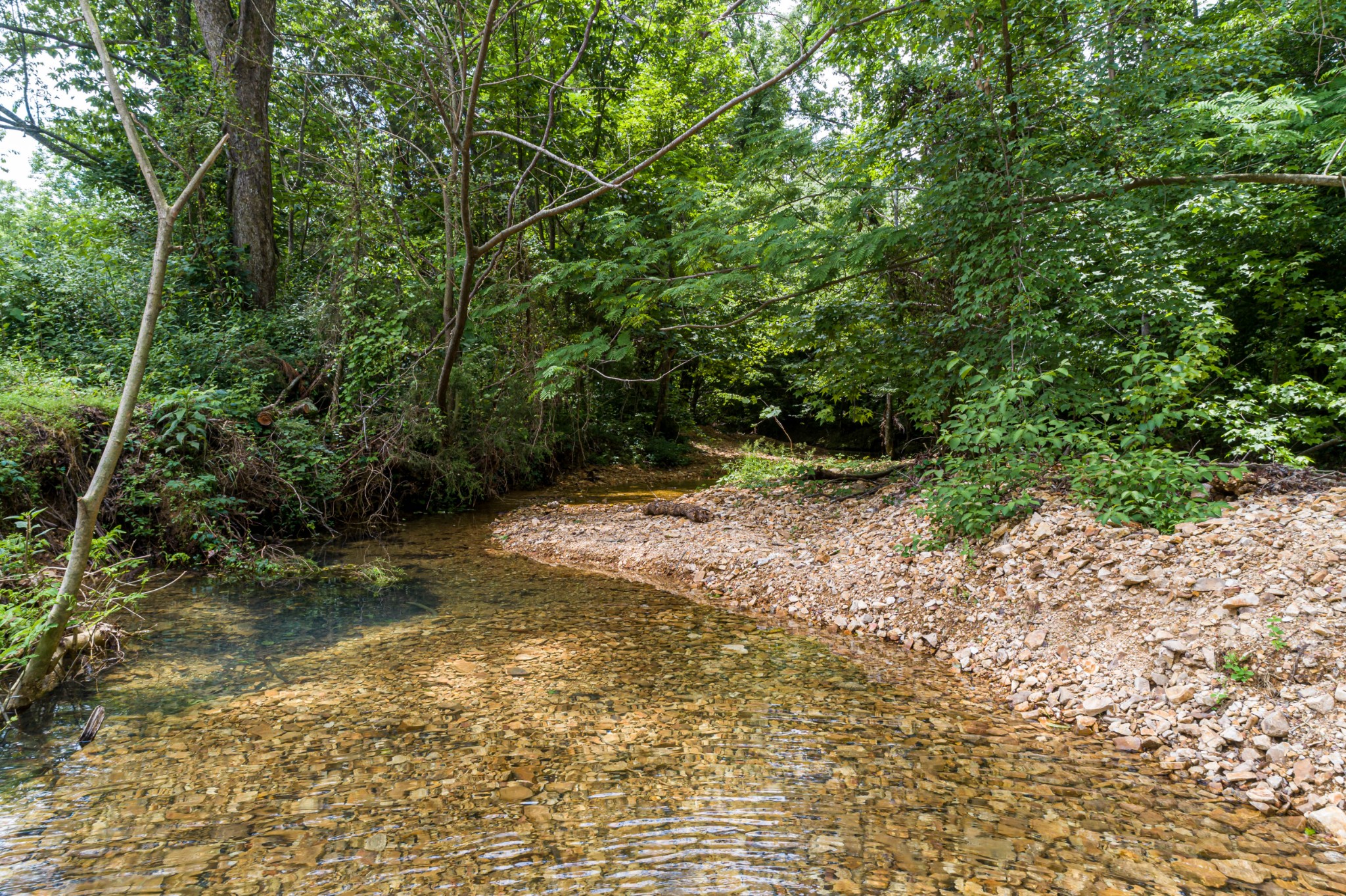 1829 Deer Creek Road Linden, TN 37096 - Photo 36 of 50 Gallery Image 36