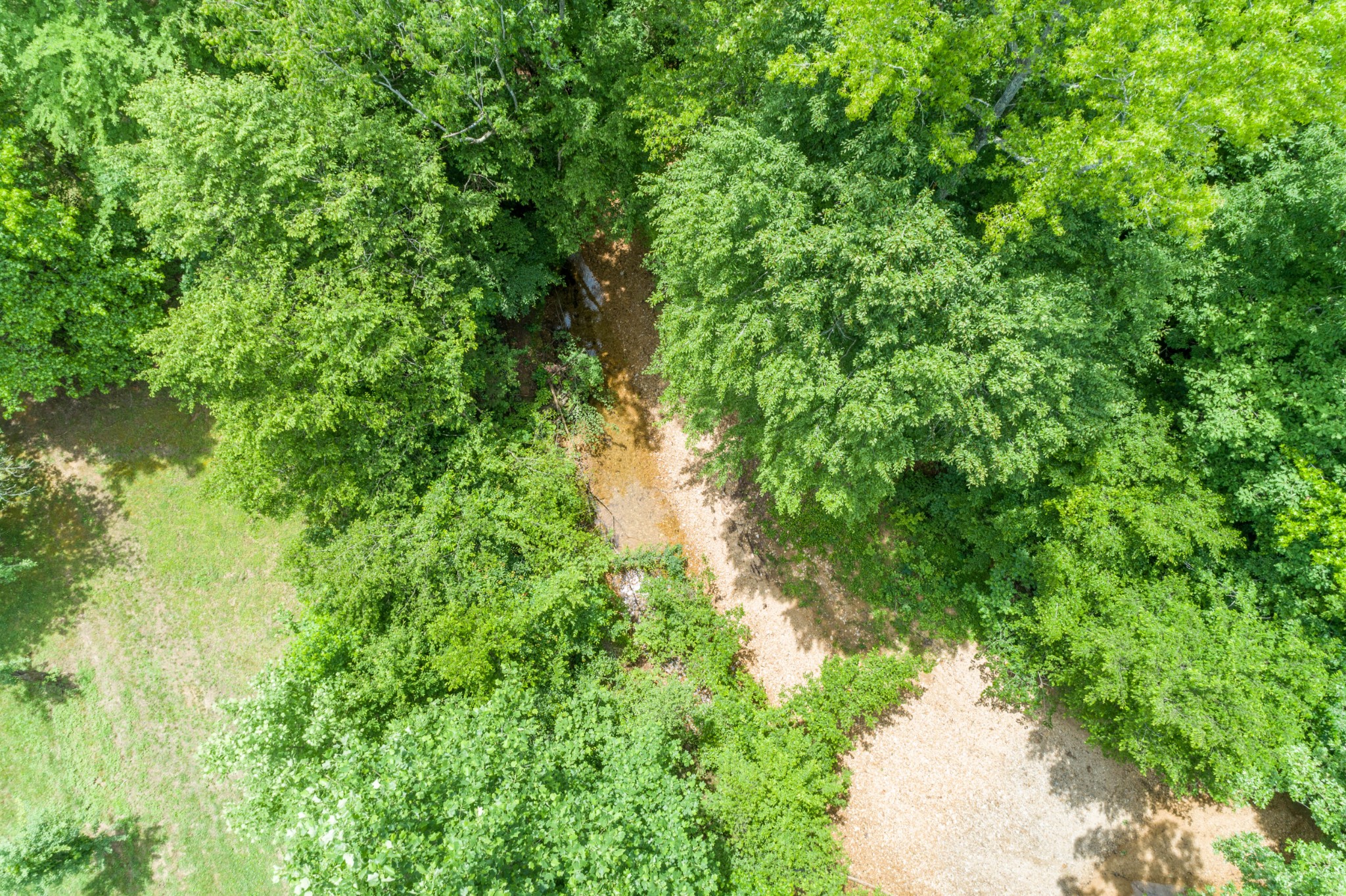 1829 Deer Creek Road Linden, TN 37096 - Photo 38 of 50 Gallery Image 38