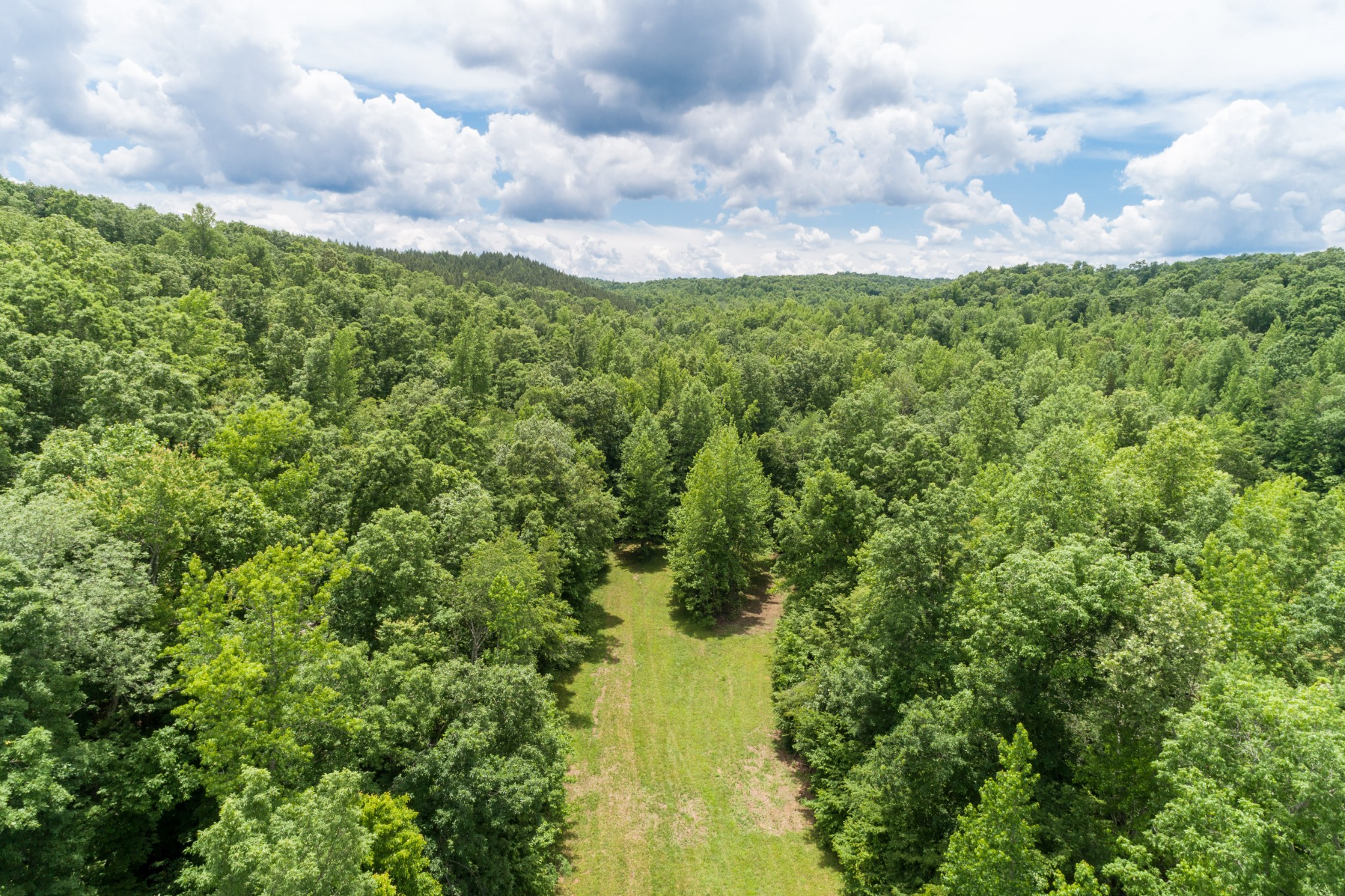 1829 Deer Creek Road Linden, TN 37096 - Photo 39 of 50 Gallery Image 39