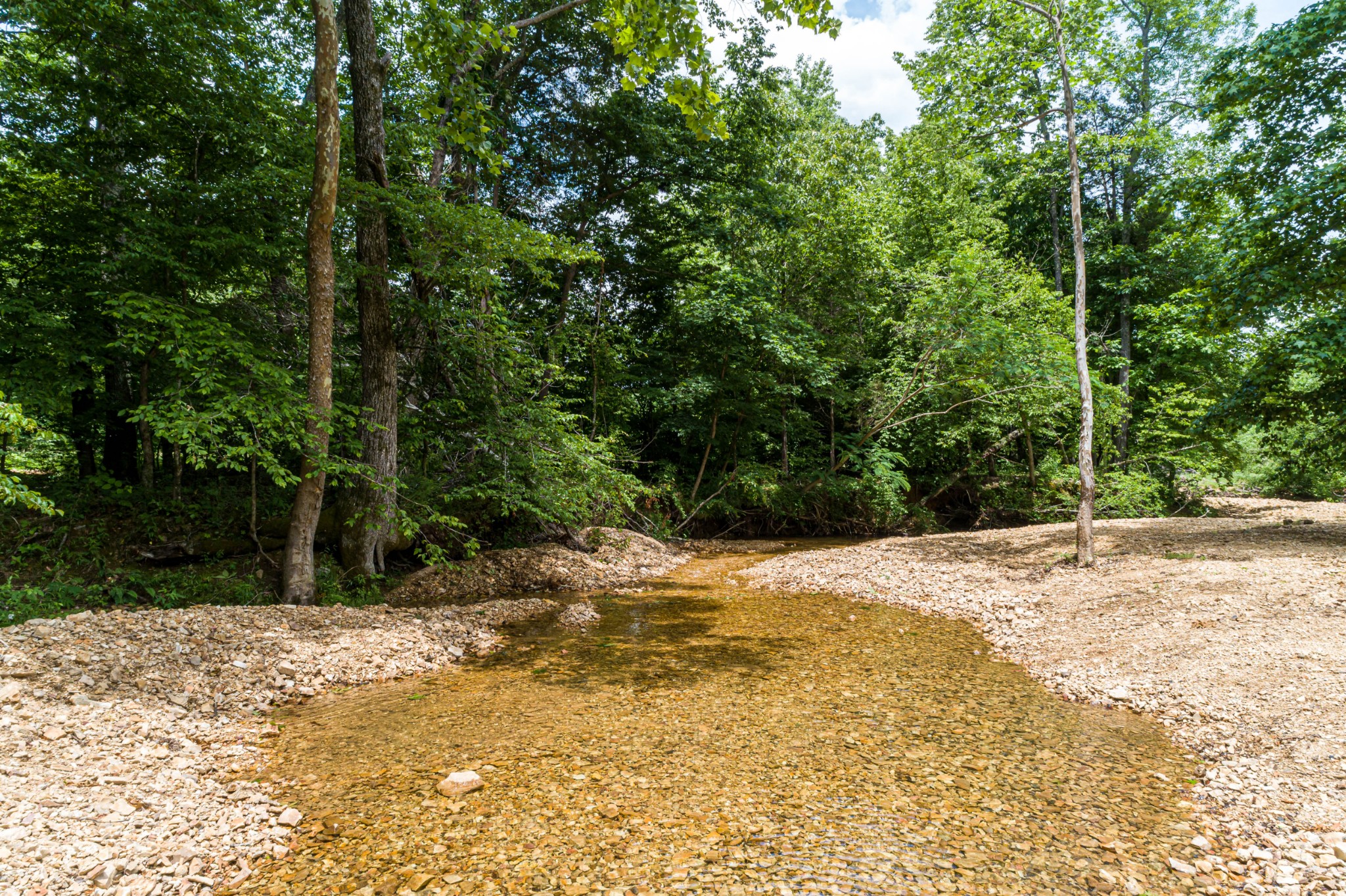 1829 Deer Creek Road Linden, TN 37096 - Photo 5 of 50 Gallery Image 5